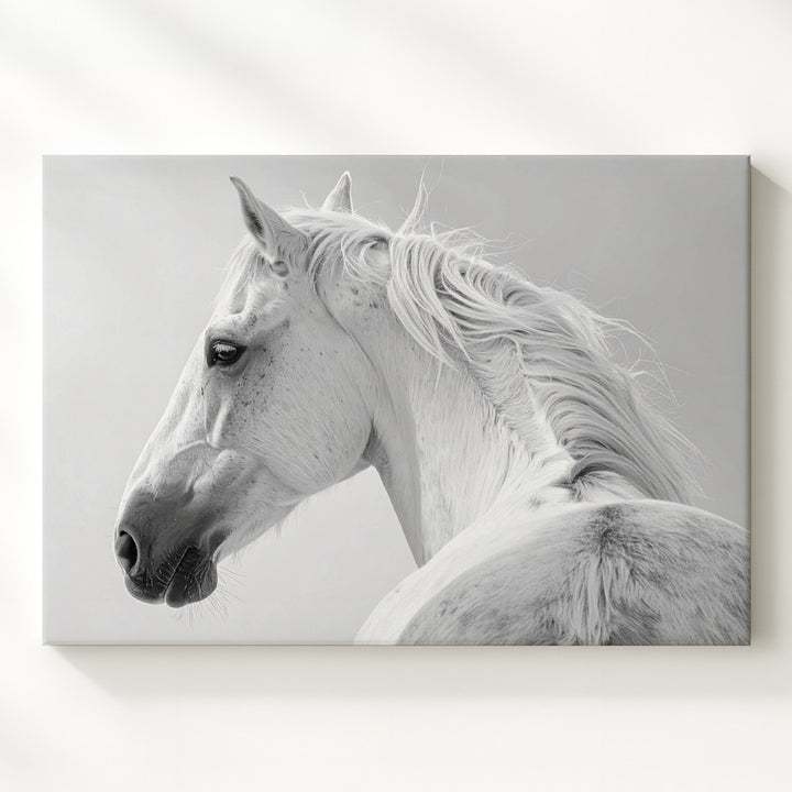 Elegant White Horse Canvas – Minimalist High-Contrast Horse Portrait Art - Gifitto