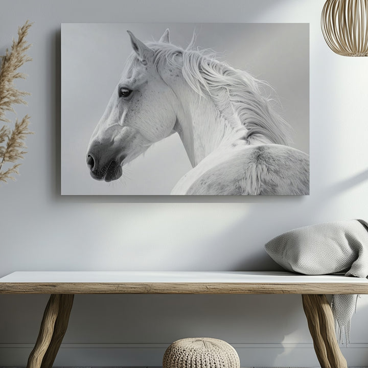 Elegant White Horse Canvas – Minimalist High-Contrast Horse Portrait Art - Gifitto