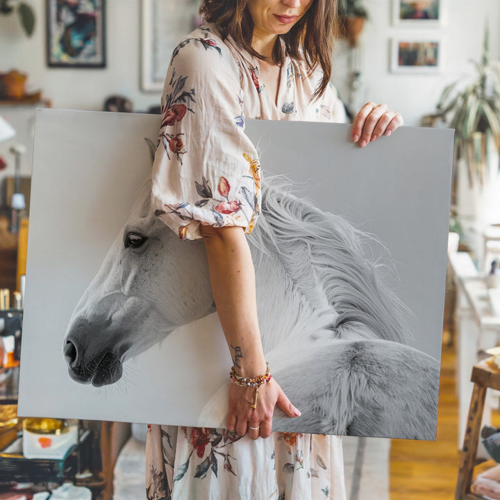 Elegant White Horse Canvas – Minimalist High-Contrast Horse Portrait Art - Gifitto