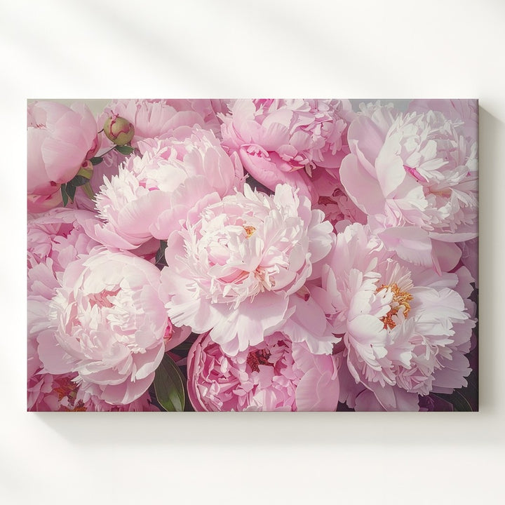 Pastel Pink Peonies Canvas – Soft-Focus Floral Photography Art - Gifitto