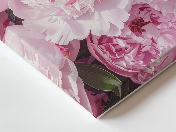 Pastel Pink Peonies Canvas – Soft-Focus Floral Photography Art - Gifitto
