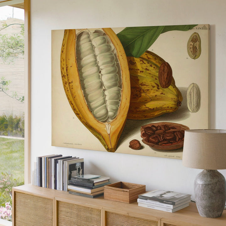 Vintage Cacao Pod Canvas – Botanical Illustration Art - Gifitto
