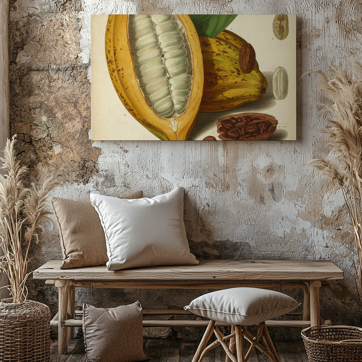 Vintage Cacao Pod Canvas – Botanical Illustration Art - Gifitto