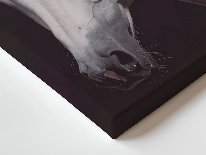 Illuminated White Horse Canvas – Minimalist Equestrian Portrait Art - Gifitto