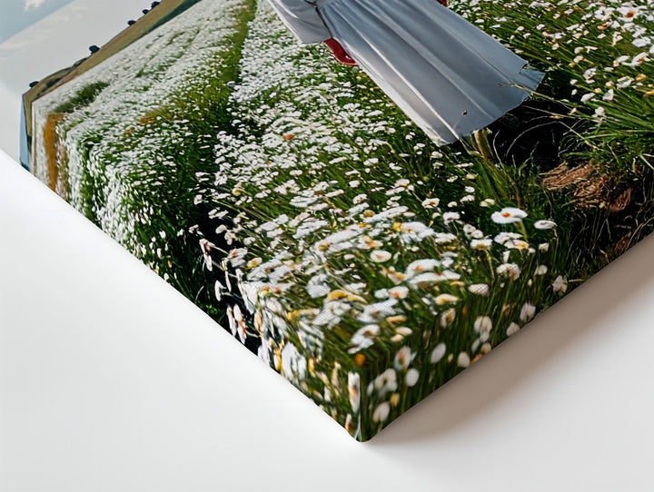 Tranquil UFO Encounter Canvas – Figure in White in Peaceful Field with Hovering UFO - Gifitto