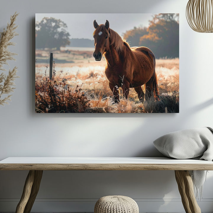 Chestnut Horse in Sunlit Field Canvas – Serene Equestrian Photography Art - Gifitto