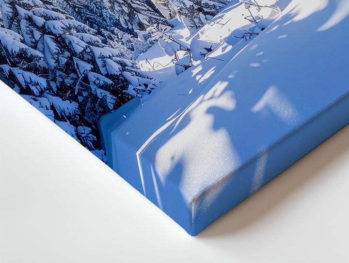 Winter Forest Morning Canvas – Snow-Covered Pines Under Crisp Daylight - Gifitto