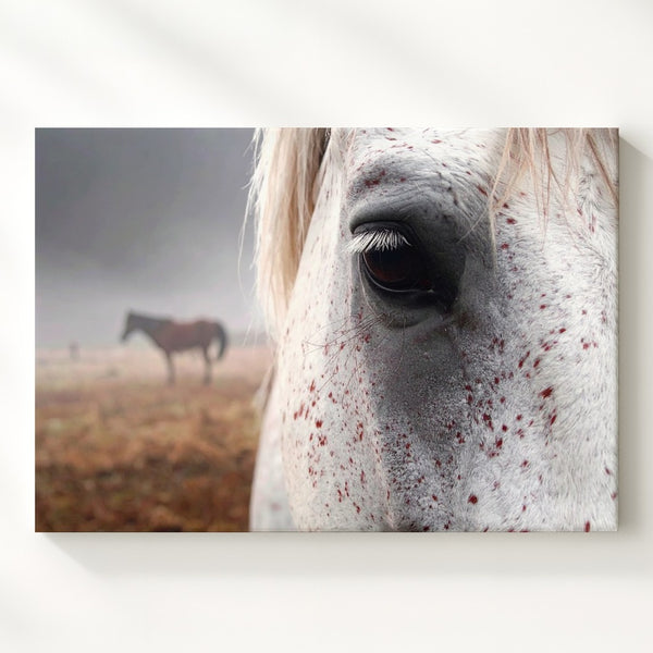 White Horse Eye Portrait Canvas – Intimate Equestrian Photography - Gifitto