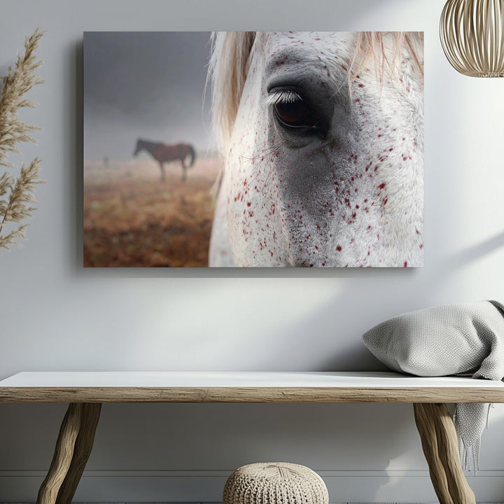 White Horse Eye Portrait Canvas – Intimate Equestrian Photography - Gifitto