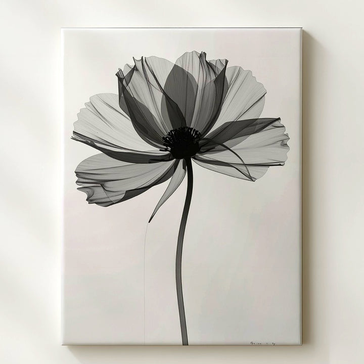 Monochromatic Translucent Flower Canvas – Ethereal Grayscale Art - Gifitto