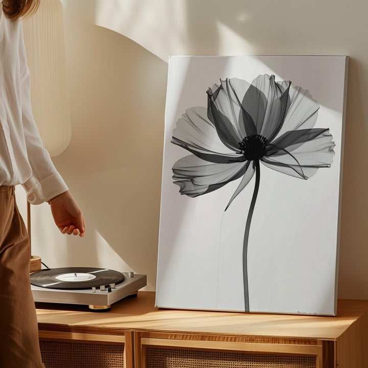 Monochromatic Translucent Flower Canvas – Ethereal Grayscale Art - Gifitto