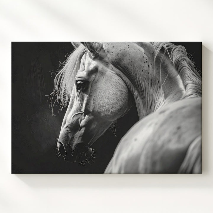 White Horse Portrait Canvas – Monochromatic Equestrian Art - Gifitto
