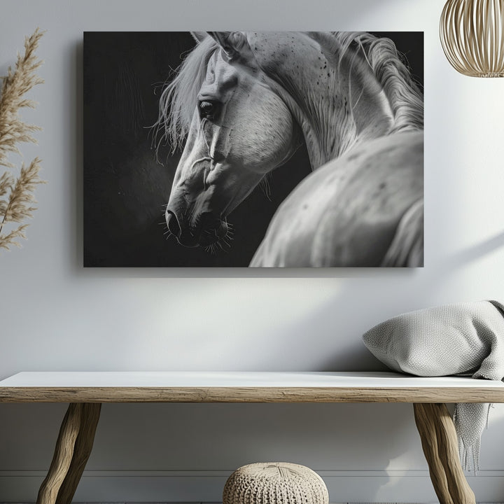 White Horse Portrait Canvas – Monochromatic Equestrian Art - Gifitto