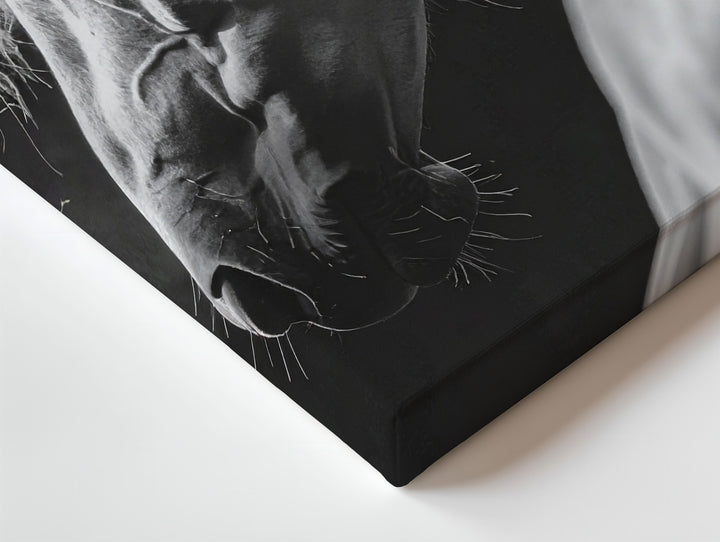 White Horse Portrait Canvas – Monochromatic Equestrian Art - Gifitto