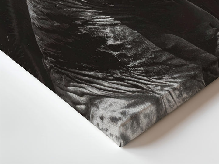 Black Horse in Motion Canvas – Dramatic Equestrian Art - Gifitto