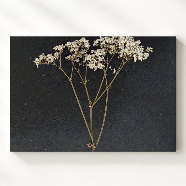 Delicate Dried Flower Canvas – Minimalist Botanical Art - Gifitto