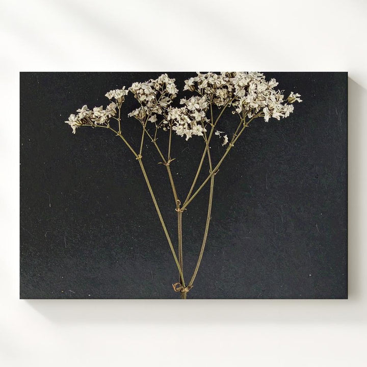 Delicate Dried Flower Canvas – Minimalist Botanical Art - Gifitto