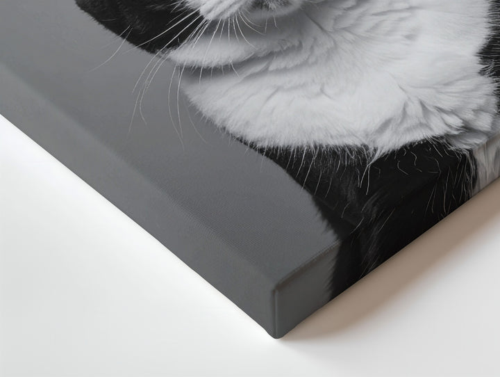 Tuxedo Cat with Toilet Paper Canvas – Black & White Humorous Wall Art - Gifitto