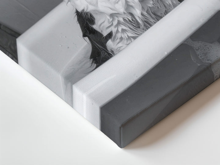 Bathtime Cat Canvas – Grayscale Funny Tuxedo Cat in Tub Wall Art - Gifitto
