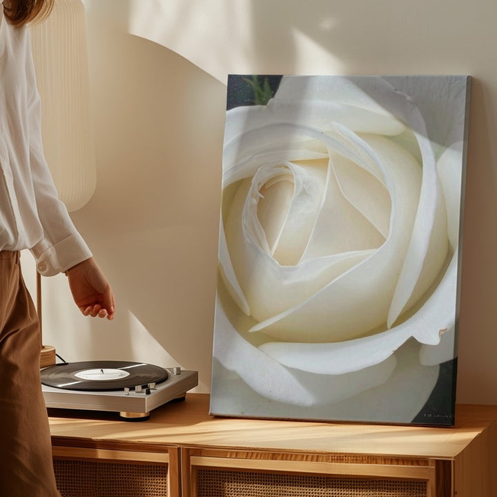 Hyperrealistic White Rose Canvas – Pure Elegance in Bloom - Gifitto