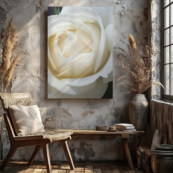 Hyperrealistic White Rose Canvas – Pure Elegance in Bloom - Gifitto