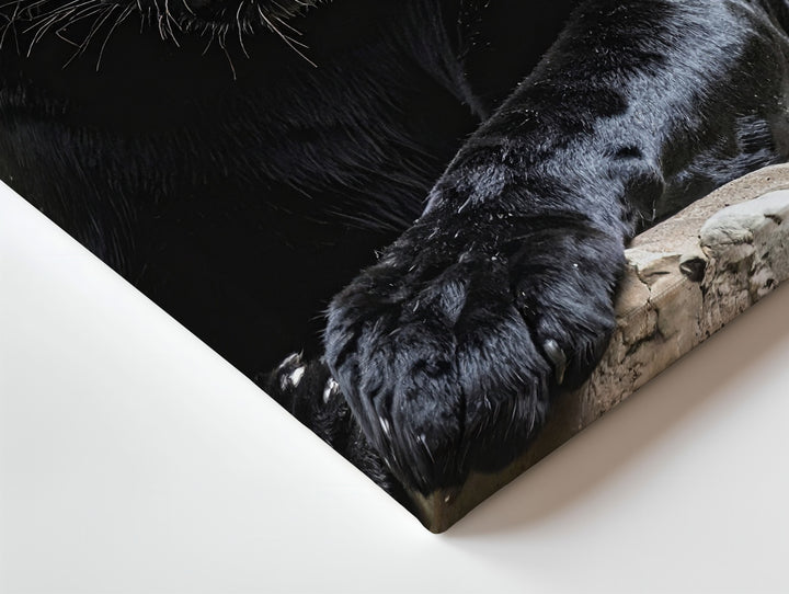 Black Panther Power Canvas – Photorealistic Big Cat in Shadow Wall Art - Gifitto
