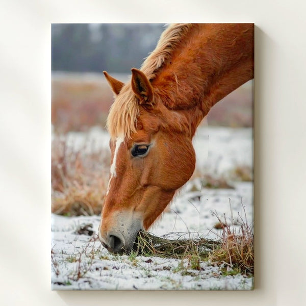 Winter Grace Canvas – Chestnut Horse Grazing in Snow - Gifitto