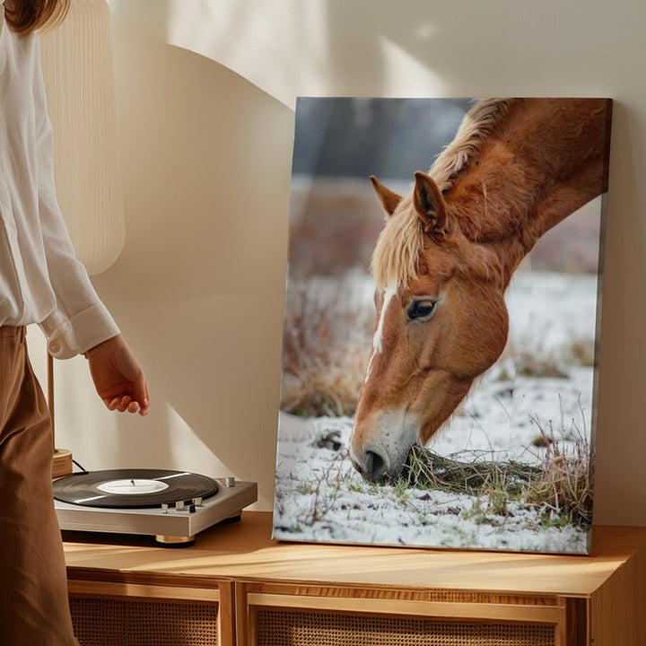 Winter Grace Canvas – Chestnut Horse Grazing in Snow - Gifitto