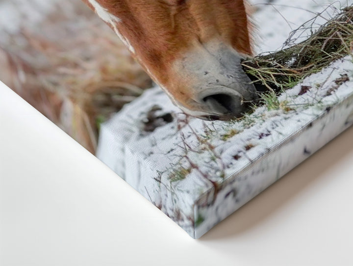 Winter Grace Canvas – Chestnut Horse Grazing in Snow - Gifitto