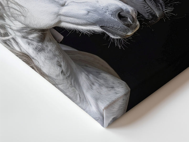 Unity in Contrast Canvas – Black and White Horses in Tender Embrace - Gifitto