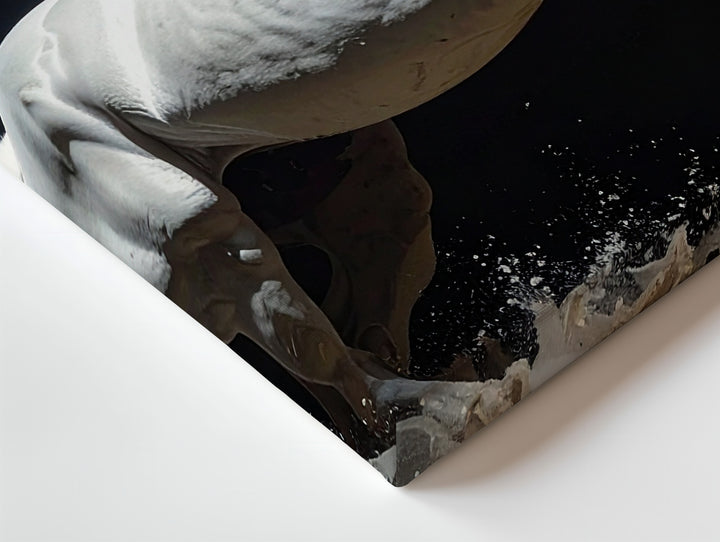 Rearing Light Canvas – Dynamic White Horse in Monochrome Motion - Gifitto