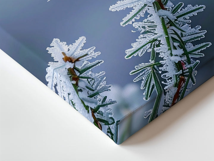 Frosted Pine & Snowflake Canvas – Macro Winter Nature Close-Up - Gifitto