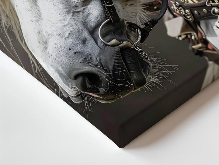 Noble White Horse Canvas – Elegant Equine Portrait with Decorative Bridle - Gifitto