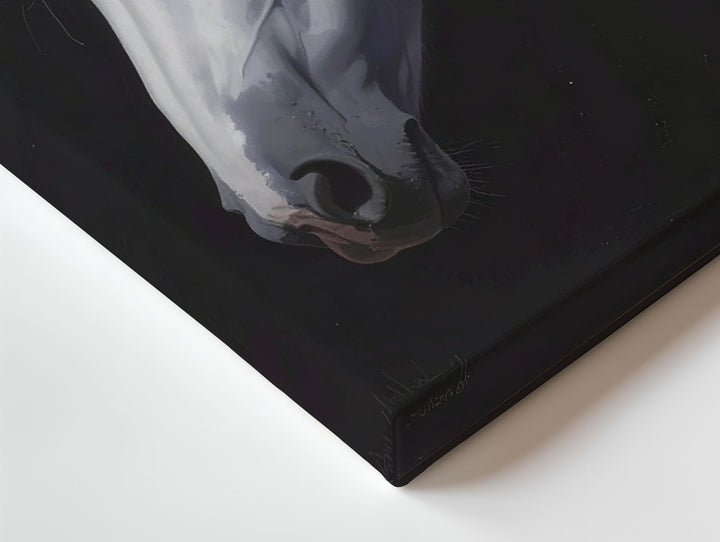 Silent Grace Canvas – White Horse Emerging from Darkness - Gifitto