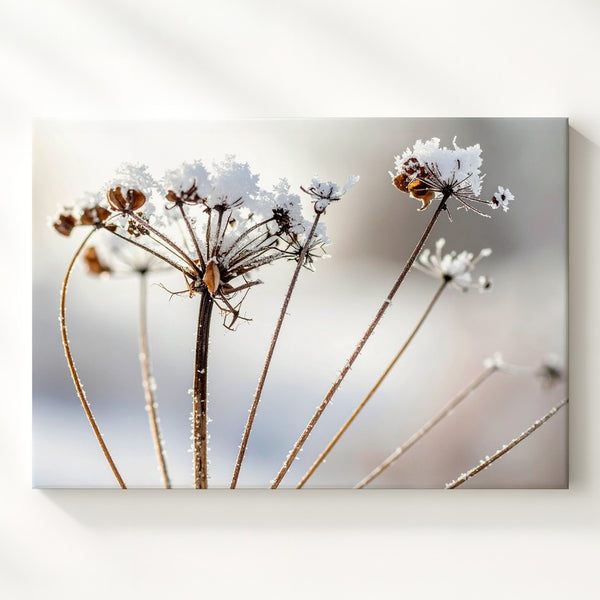 Frosted Wildflower Canvas – Minimalist Winter Nature Close-Up