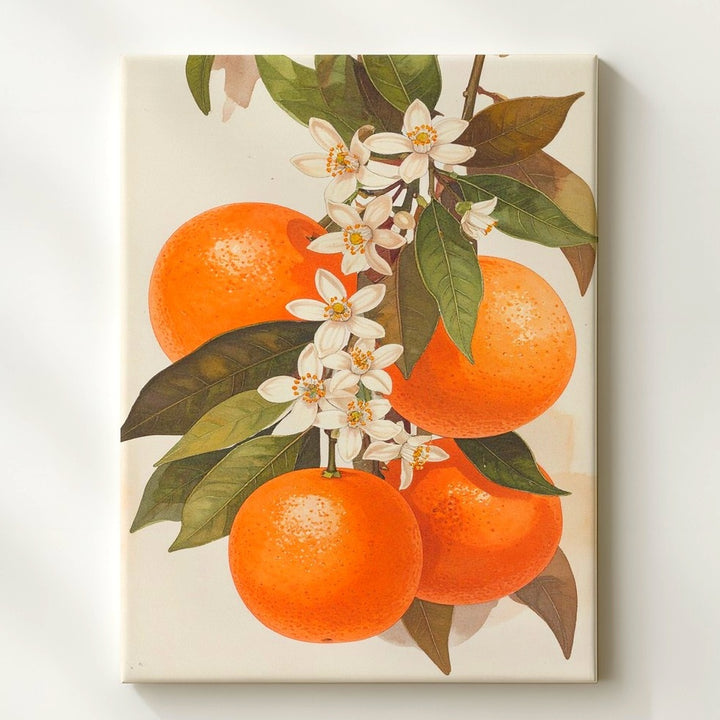 Botanical Orange Cluster Canvas – Lifelike Illustration with Citrus Blossoms - Gifitto