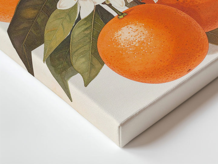 Botanical Orange Cluster Canvas – Lifelike Illustration with Citrus Blossoms - Gifitto