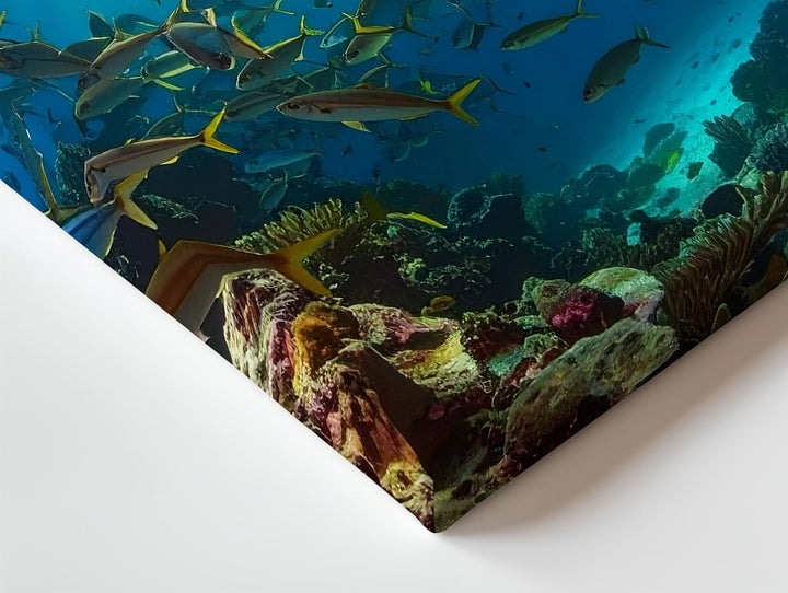 Harmony in Motion Canvas – School of Fish Over Coral Reef - Gifitto
