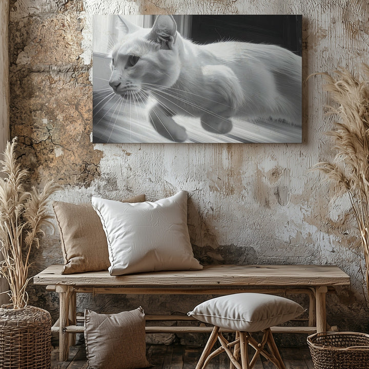 Dynamic Motion Cat Canvas – High-Speed Feline in Motion Blur - Gifitto