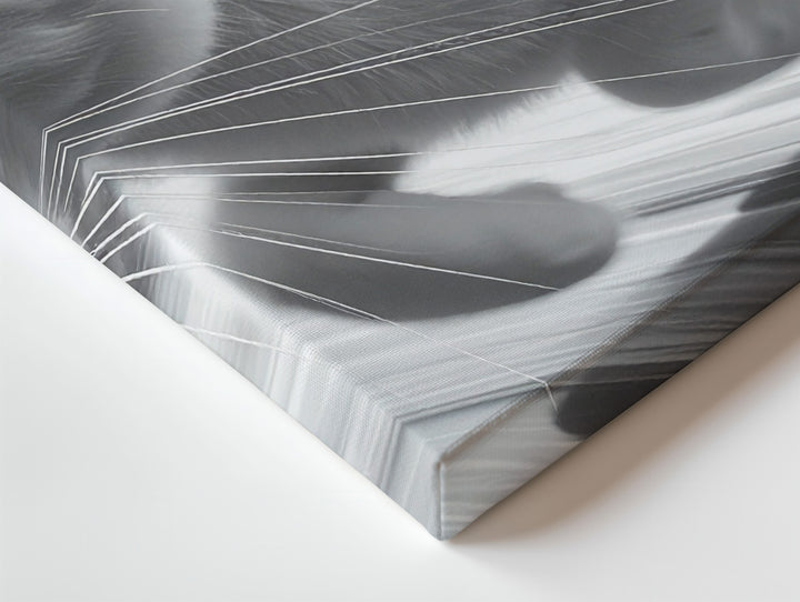 Dynamic Motion Cat Canvas – High-Speed Feline in Motion Blur - Gifitto