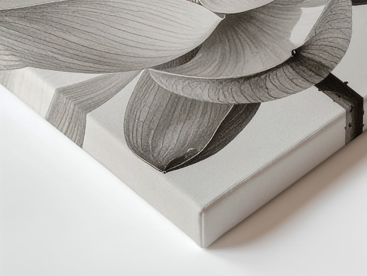 Monochrome Lotus Bloom Canvas – Minimalist Botanical Elegance Wall Art - Gifitto