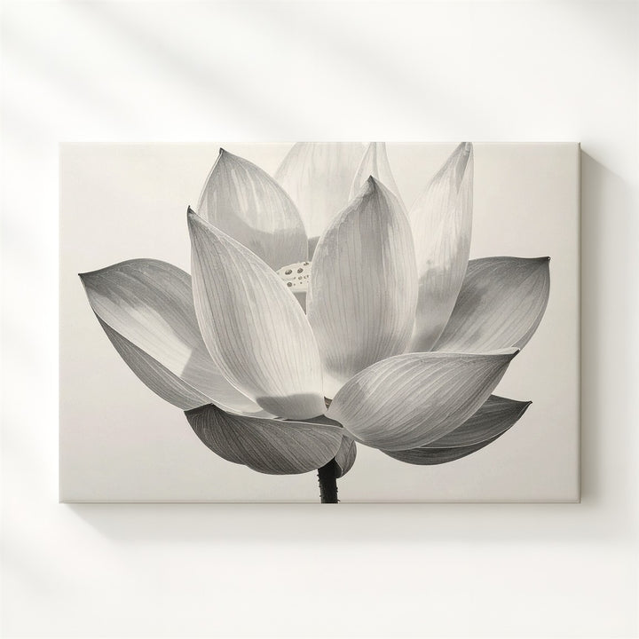 Partial Bloom Lotus Canvas – Black & White Minimalist Floral Elegance - Gifitto