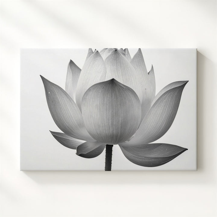 Early Bloom Lotus Canvas – Grayscale Minimalist Botanical Strength Art - Gifitto