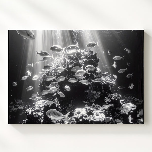 Circle of Light Canvas – Monochrome Fish School Around Coral