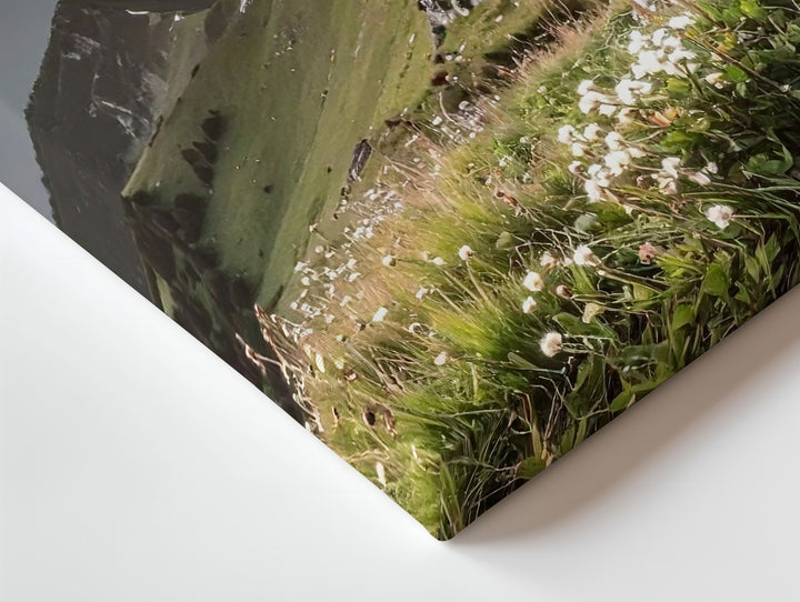 Vivid Sunset Mountain Peak Canvas – Dramatic Twilight Landscape with Alpine Flora - Gifitto