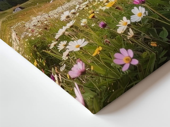 Alpine Wildflower Valley Canvas – Expansive Mountain Landscape in Golden Hour Light - Gifitto
