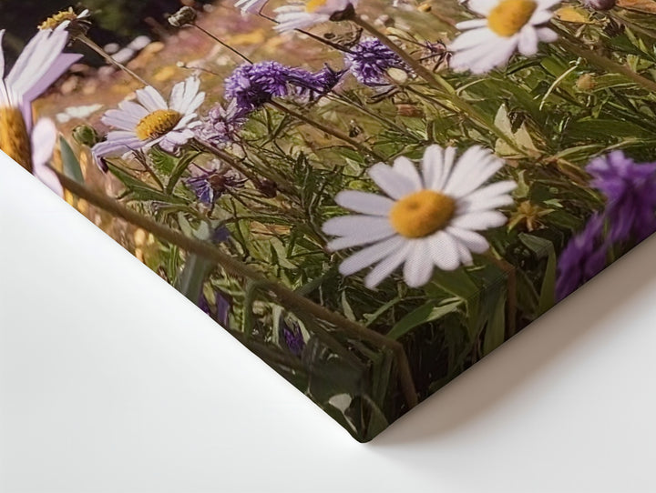 Lavender Wildflowers Close-Up Canvas – Serene Alpine Meadow with Mountain Backdrop - Gifitto