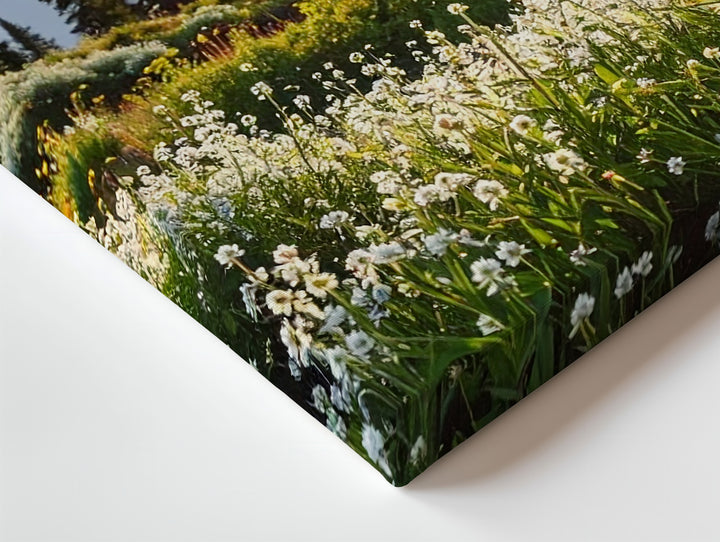 Golden Hour Wildflower Canvas – Photoreal Meadow with Sunset, Trees & Mountains - Gifitto