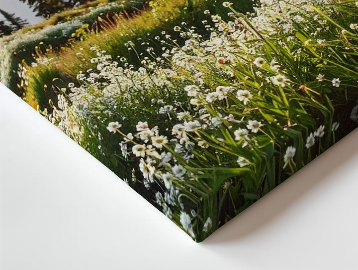 Tranquil Bloom Canvas – Wildflower Field with Pines, Mountains & Sunrise Light - Gifitto