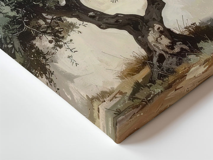 Enduring Olive Tree Canvas – Minimalist Mediterranean Nature Art - Gifitto